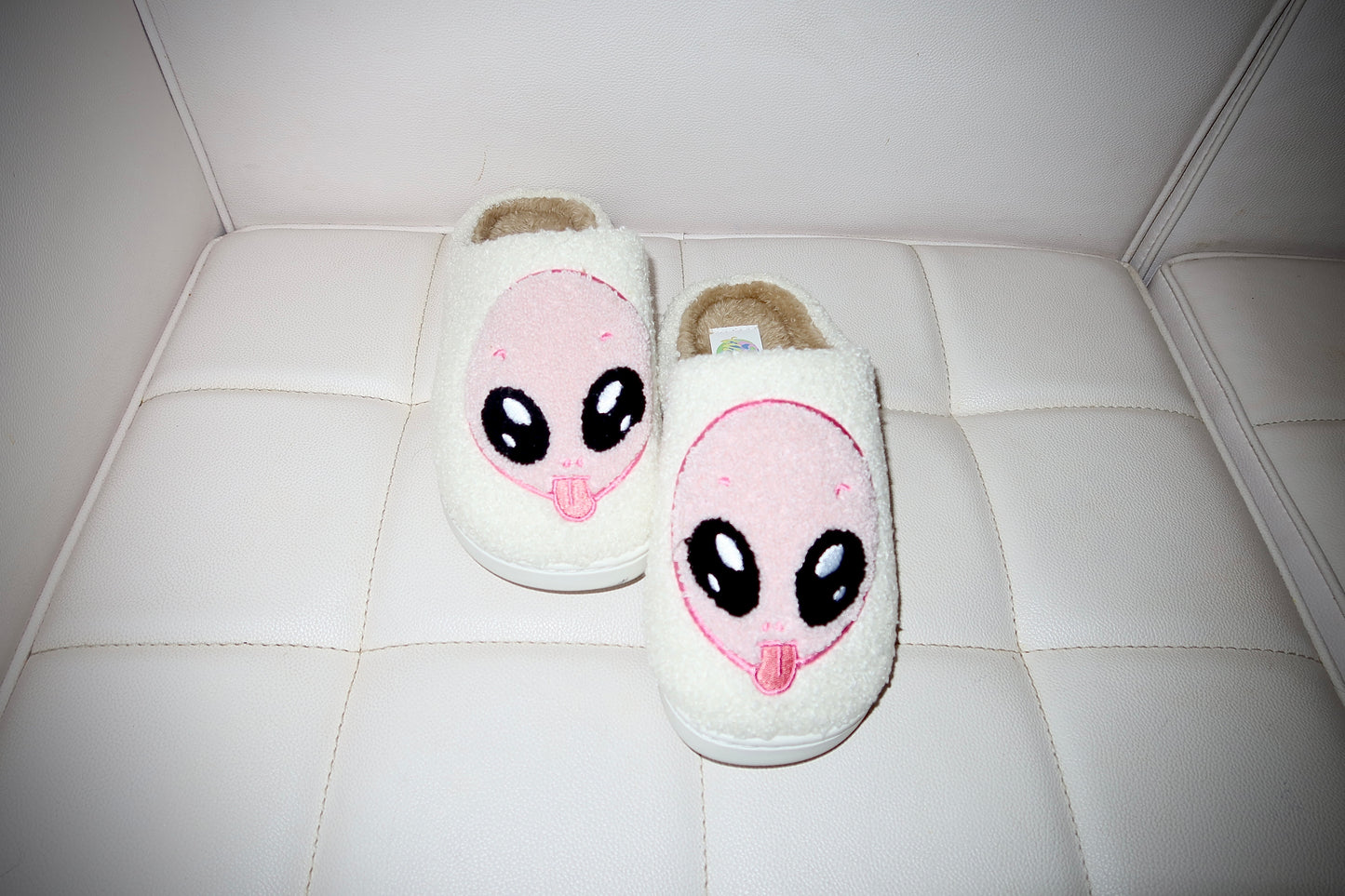 COZY SLIPPERS